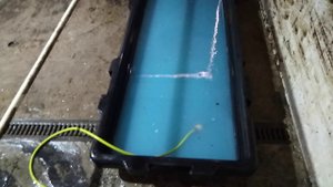 Ванна для обработки копыт