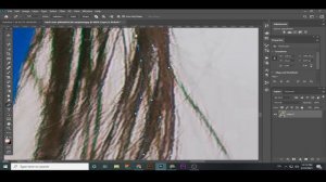 How To Make PNG Picture In Adobe Photoshop