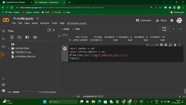 How to draw pie chart using plotly.express library using Python? - Data Analytics17