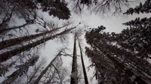 Тест камеры. Лесная, зимняя сказка.Озеро и рыбак Витёк.