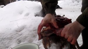 Молодым охотникам на заметку! Разделываем глухаря!