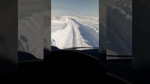 Ванкор-сузун. Конец марта
