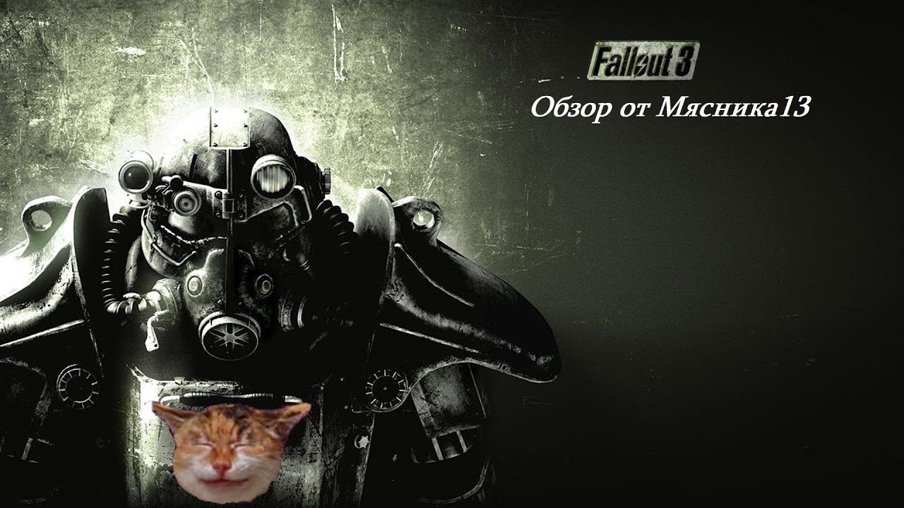 Обзор игры Fallout 3 от Мясника13