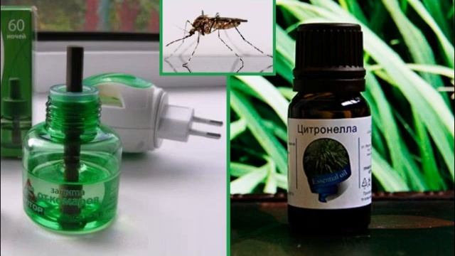 Как защититься от комаров без использования химии. Защита от комаров народными средствами. смотреть онлайн