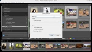 Удаление фотографий в лайтрум. Работа с фильтрами. Коллекции. Умные коллекции в Adobe Lightroom