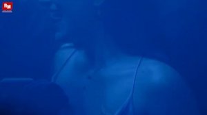 SAVAGE-44 - Techno energy