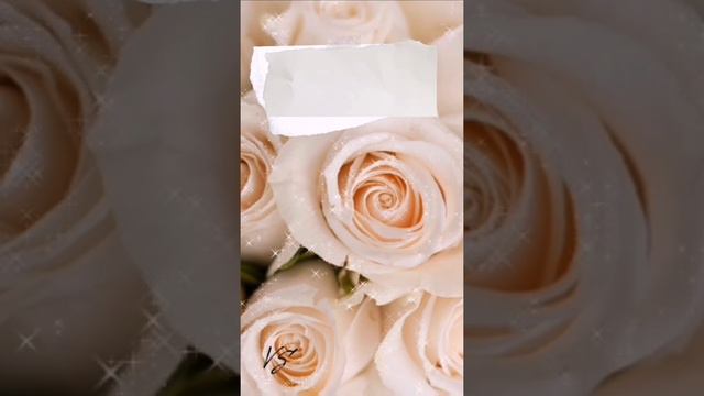 Моя любимая жена - Виталий Серебров смотреть онлайн