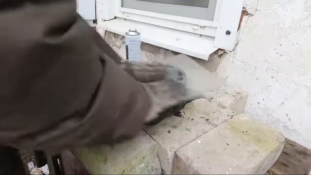 Стрим, Чем заняты мотодамы. смотреть онлайн