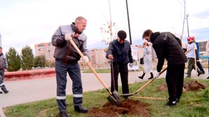 Экологический проект «Зелёный город с Уральской Сталью»