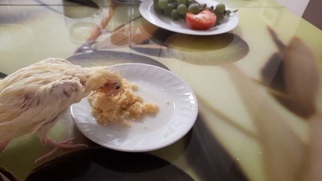 27 октября 2023 г. смотреть онлайн