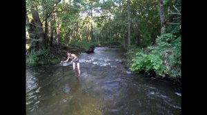 Красногорка 2018