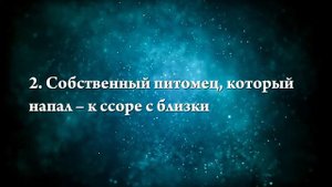 К чему снится овчарка - Онлайн Сонник Эксперт