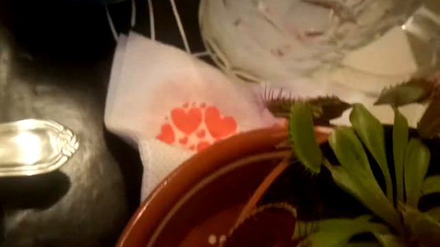 Мухоед ест всё смотреть онлайн