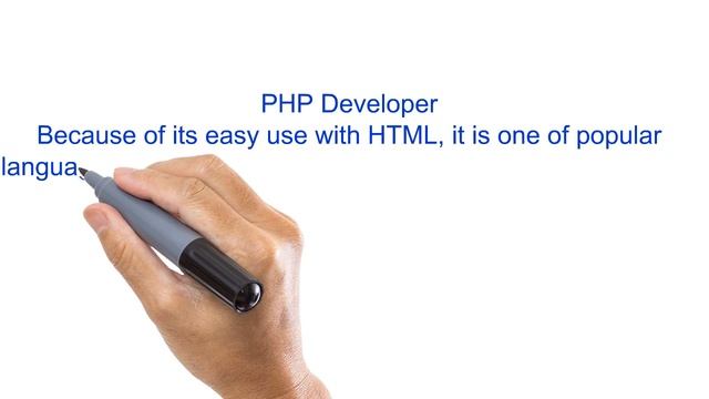PHP Developer