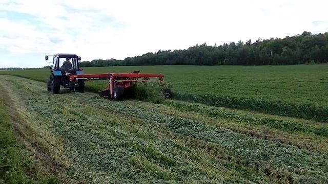 Косилка плющилка JF с центральным дышлом на люцерне смотреть онлайн