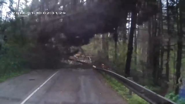 Посмотрите Как Природа Мстит Человеку смотреть онлайн