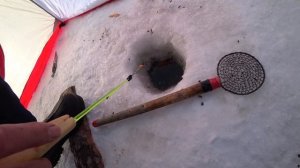 Рыбалка на сорогу в Бурятии 2020