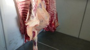 СОЗРЕВАНИЕ МЯСА В ХОЛОДИЛЬНОЙ КАМЕРЕ. От 14 дней до 21 дня. Ооо Дик Калужская область. #дикфарм