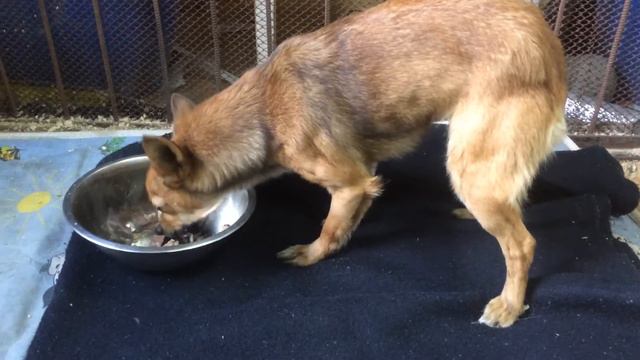 Новенькая смотреть онлайн