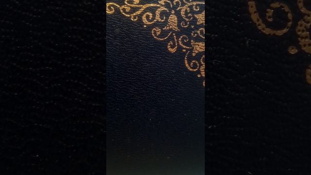 # В.Соловьев конец главы Красота Природы.1889 год #аудиочитаюв _Ютюбе смотреть онлайн