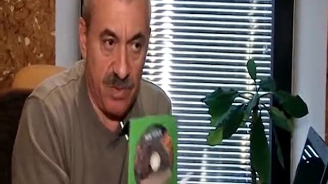 Приключения Арбузика И Бебешки Купить Книгу