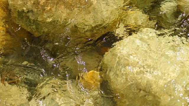 Река Баргузин и Баргузинская долина. смотреть онлайн