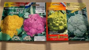 4 лучших сорта цветной капусты на рассаду