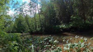 Кебари по мотивам киллер баг.