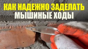 Как Заделать Мышиную Нору Надежно. Как Избавиться От Мышей.mp4