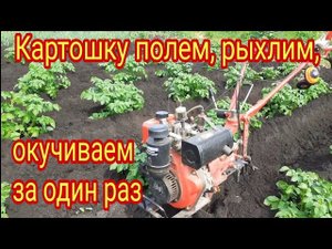 Прополка, окучивание, рыхление, картофеля за один проход и ответы на некоторые вопросы.