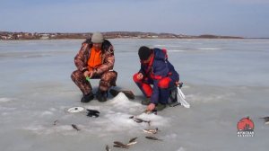 Ловля плотвы весной по последнему льду  Закрытие сезона зимней рыбалки