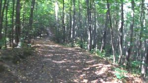 Ичалковские ПЕЩЕРЫ в Нижегородской Области с ДЕТЬМИ. Как Добраться и Наше Путешествие