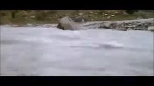 Не забывай, Что Бог с Тобой - Ясмин Дидюля