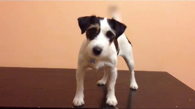 Стыдно и повороты головы смотреть онлайн