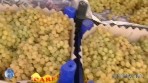 Пятничный рынок / Аланья / Турция / Цены на фрукты в октябре