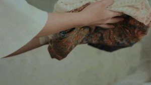 Маленькая госпожа 1 сезон 29 серия