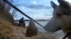 Рыбалка на реке амур ! открытие сезона на удочку и спининг ,ловля карася!!!