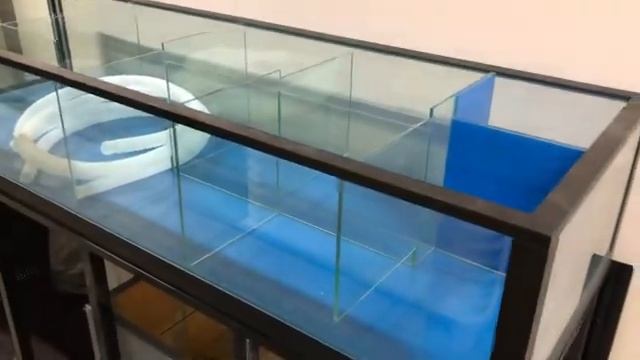 Аквариум для раков морепродуктов краба устриц ежа гребешка в ресторан магазин