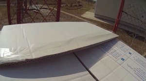 Покупка кур 4.5 месяцев