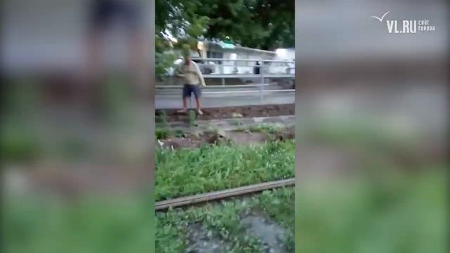 Блошиный рынок во Владивостоке - неизвестные вырвали сотни кустарников смотреть онлайн