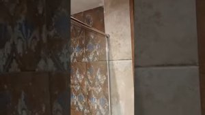 Стеклянная душевая перегородка
