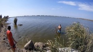 Ловля карпа в Александровке