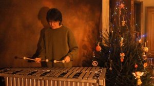 Микаэл Таривердиев "Снег над Ленинградом" вибрафон (ирония судьбы или с лёгким паром)