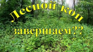 Лесной коп завершаем в этом сезоне?