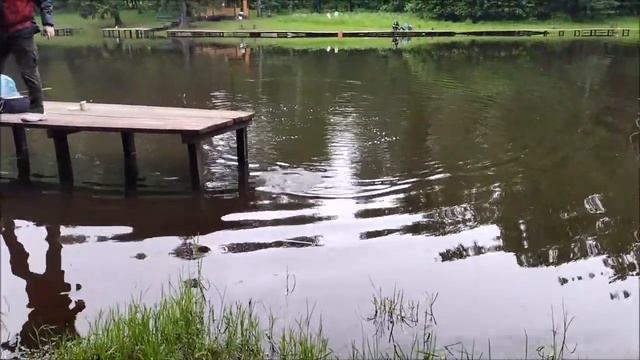 Карп отзывается на все виды прикормки, верхний пруд. Клёвое место Лосиный остров. смотреть онлайн
