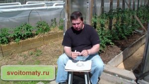 Как приготовить эффективную  мазь от мошек