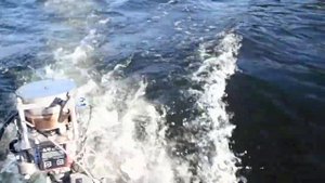 Лодочный мотор Салют.Лодка Омега 21.Кильсон.