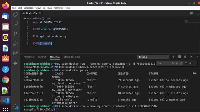 Docker Tutorial for Beginners - Docker Container Basics | How To Use Docker Run Command