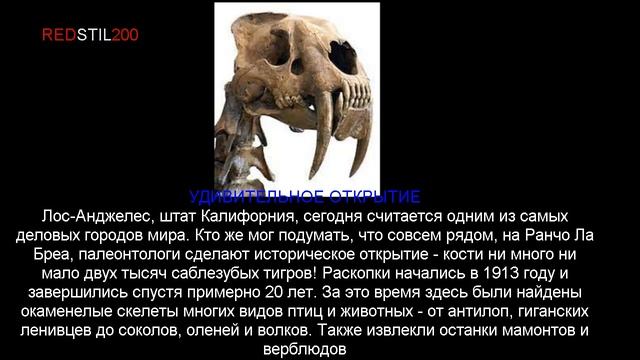 История вымерших животных (смилодон) смотреть онлайн