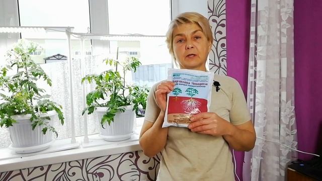Наша кормилица- "Кормилица-Микориза"